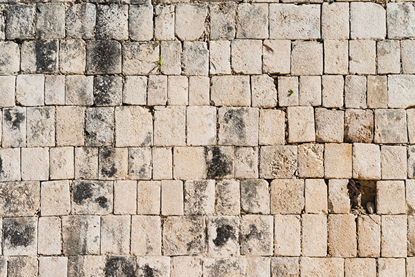 鲸鱼的诗有哪些