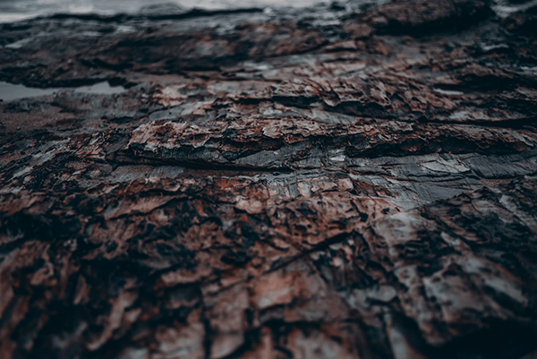 过客飘然七律 合集