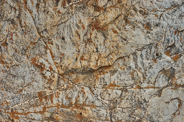 对友谊认识的英语句子