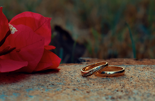 鸡为什么吃石头