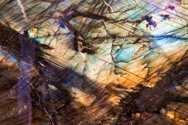 迷的笔顺怎么写