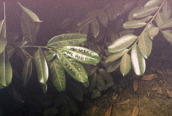 描写冬季的作文