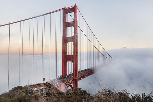 莫待无花空折枝英语怎么说