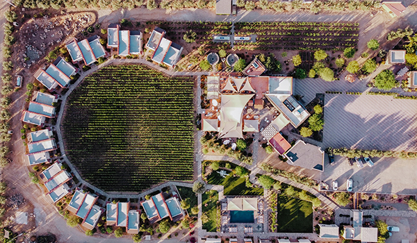 新桥中学怎么样