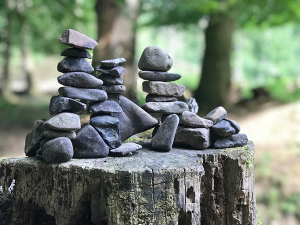 喜欢的英语怎么说