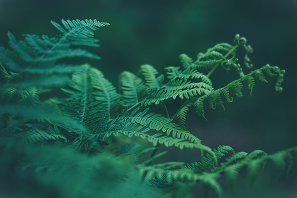 春夜别友人古文赏析