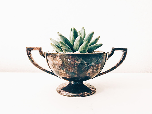 忆江南是一首白居易的什么