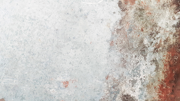 春星的诗句有哪些呢