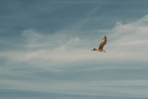 描写银色的词语