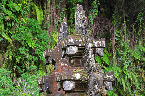 描写朱顶红优美的句子